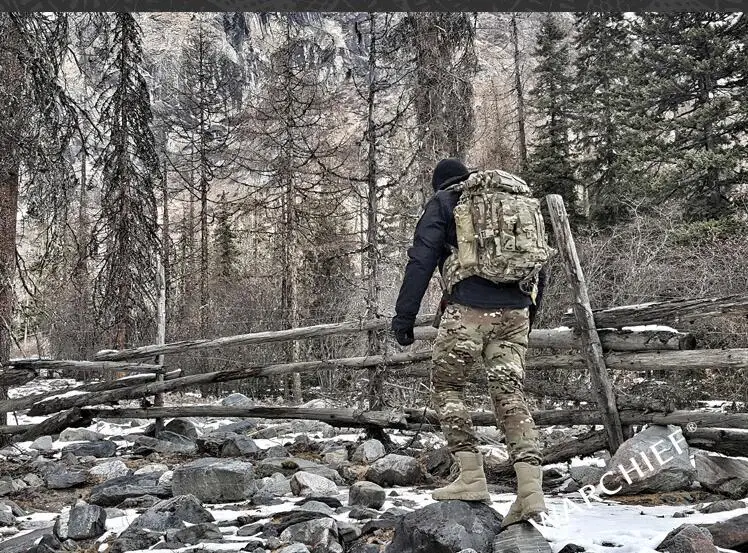 Warchief Valiant модульный MOLLE военный Штурмовой Рюкзак Мультикам тактическое снаряжение(SKU051279