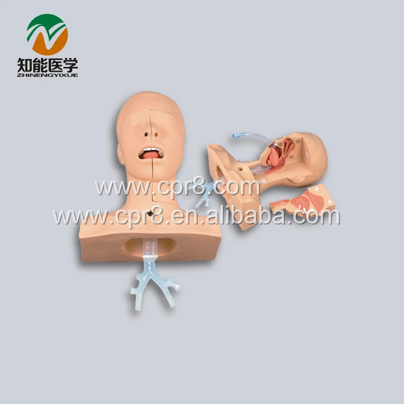 BIX-H85 Advanced Suction Training Model(Medical Model) U.S.A. Package Mail Medical Instruments G007 BIX-H85 Advanced Suction Training Model(Medical Model) U.S.A. Package Mail Medical Instruments G007