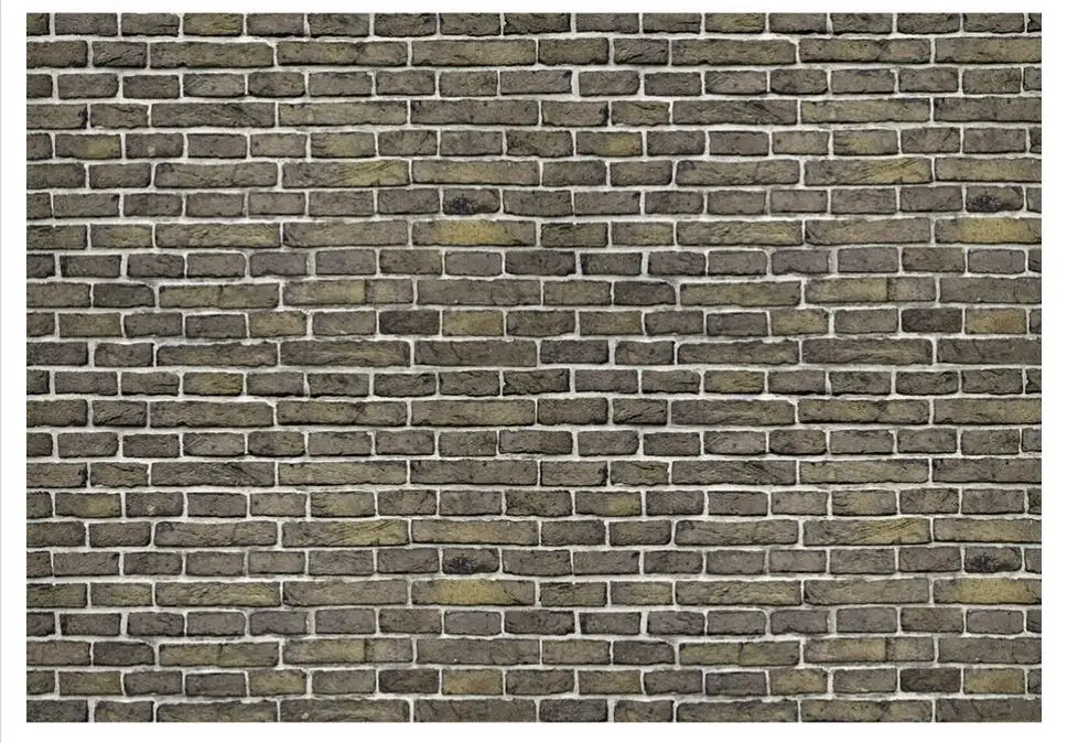 36020180505165627904