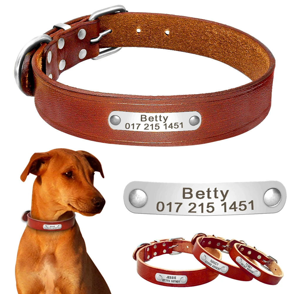 Hakiki Deri Kisisellestirilmis Kopek Tasmasi Ozel Islemeli Kopek Tasmalari Adi Telefon No Kimlik Etiketi Boyun Askisi Buyuk Kopekler Icin Puppy Collar Dog Collar Personalizeddog Collar Aliexpress