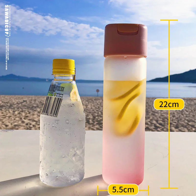 My Bottle glass 420 мл PC бутылки для воды прозрачные или матовые термостойкие герметичные