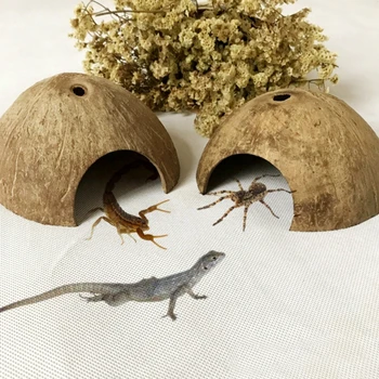 

Reptile Hide Habitat Natural Coconut Shell Lizard Spider Small Animal Cave House Turtle Shrimp House forAquarium Fish Tank Decor