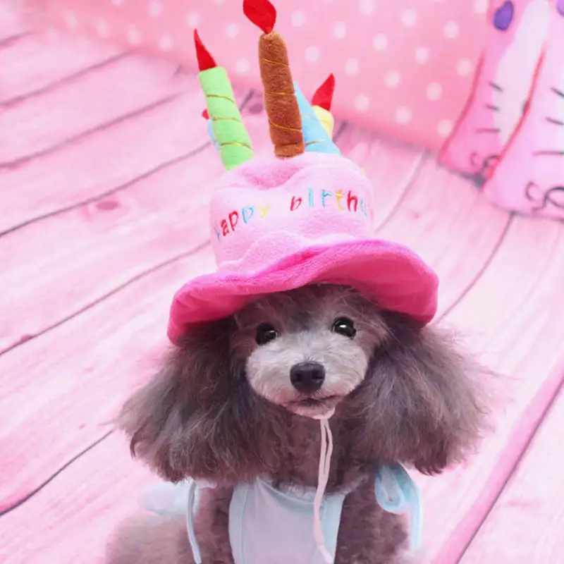Шапка для собак на день рождения, маленькая собака на открытом воздухе, шляпы для домашних животных, аксессуары для домашних животных для собак, кошек