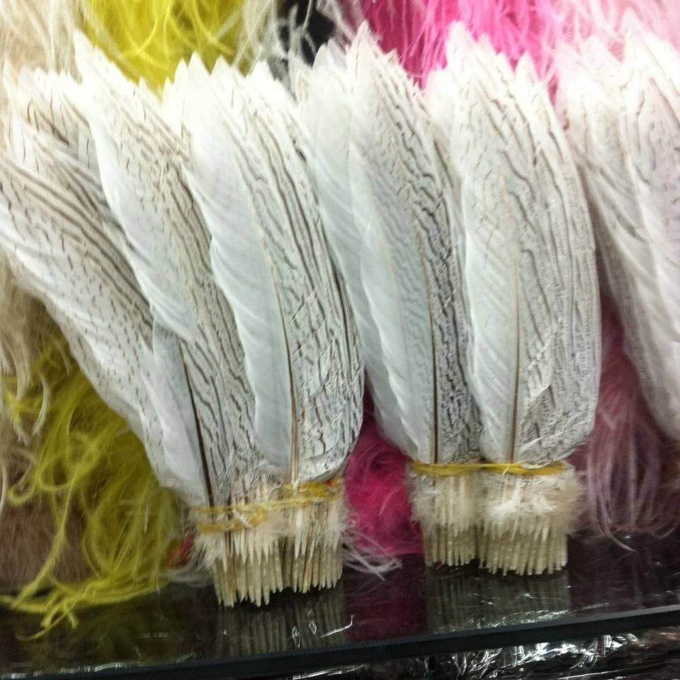 

Free Shipping 30pcs Silver pheasant Feathers 25-30cm 10-12inch white silver Pheasant Feathers DIY Feathers Cloth accessory