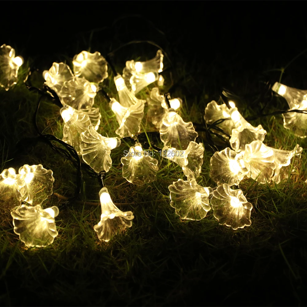

Battery 6M 30LED Mornig Glory Shaped LED String Lights, Outdoor Christmas Holiday Party Garden Decorative Lights with Remote