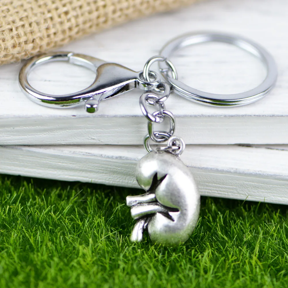 

Tkuamigo Trend Punk Anatomical Kidney Keychain Human Anatomy Biology Jewelry Renal Nephrologist Gift for Encourage A211 18*25mm