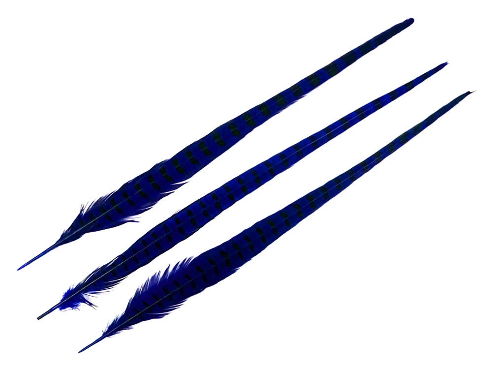 royal blue-3