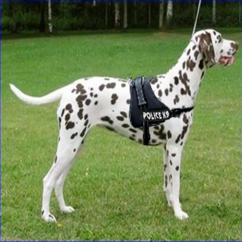 Вогнутый нагрудный ремень Эластичный сбруя-жилет Тяговый канат ходьба собака полиция X9 печатает домашних животных для средних и больших собак высокое качество