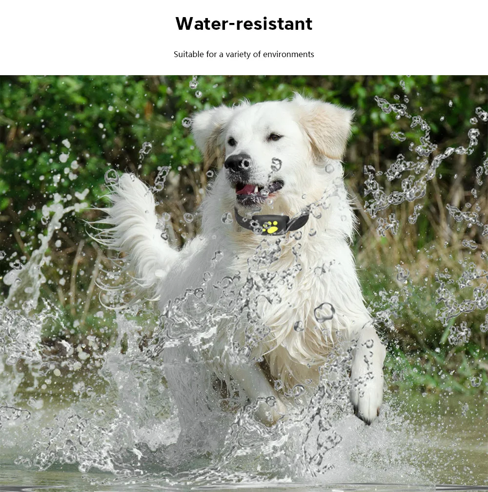 20180817105705_94759.jpg