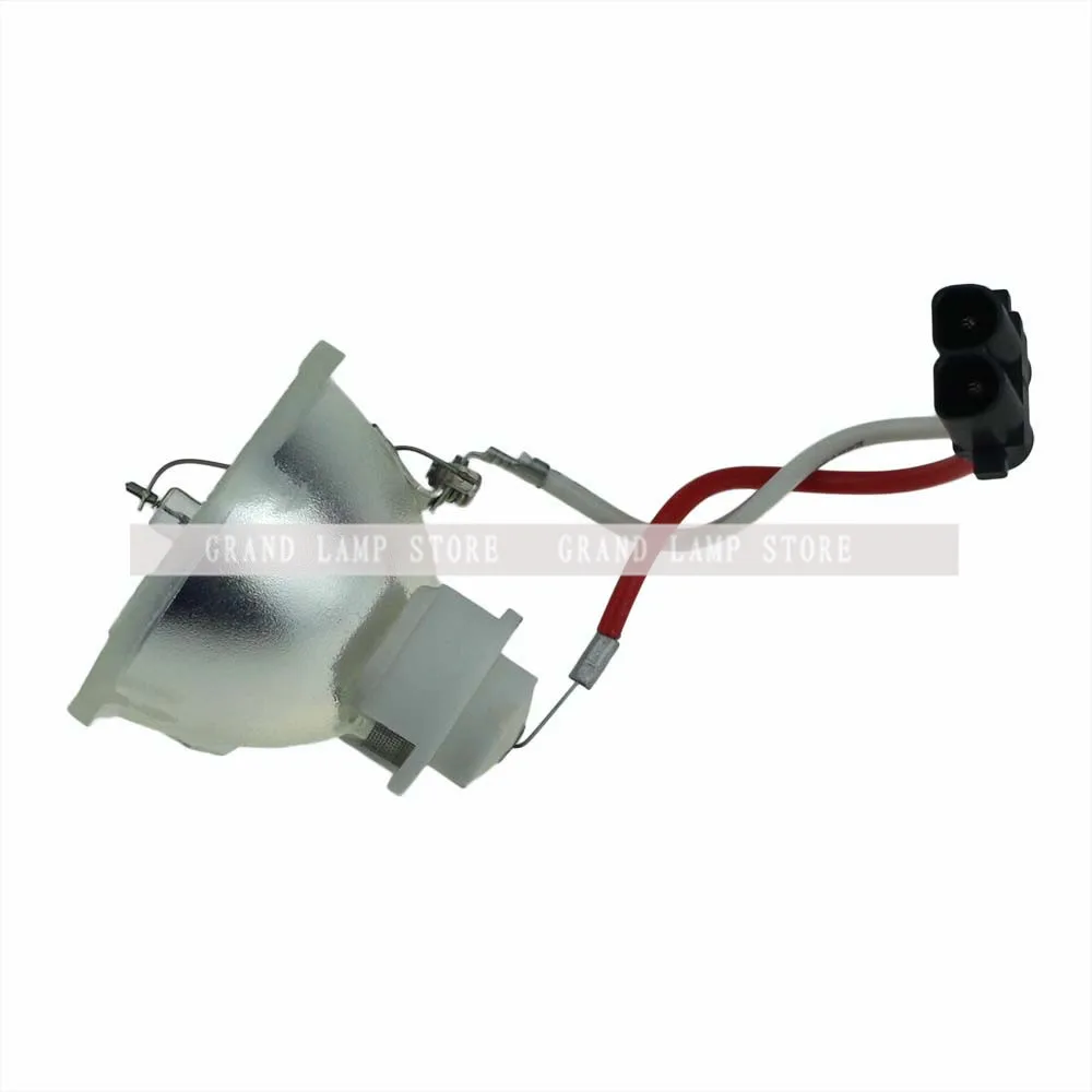 SP-LAMP-019-3