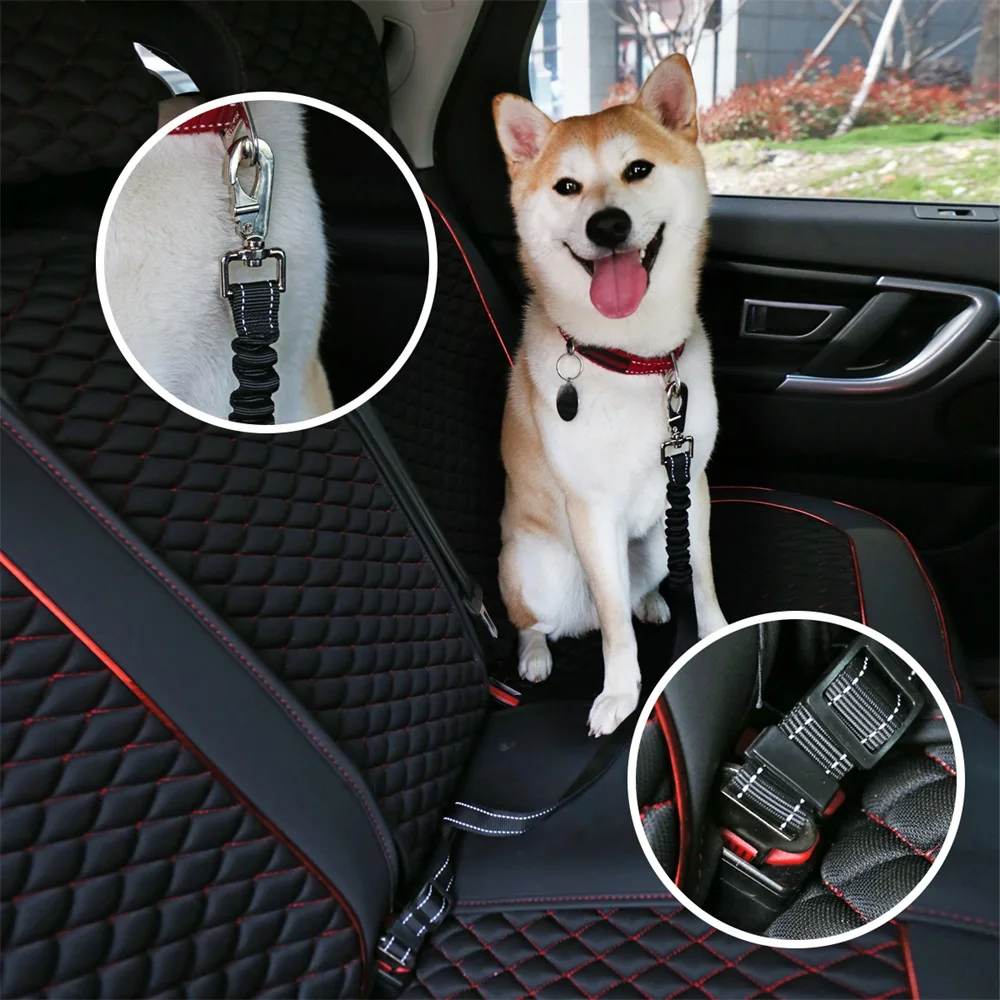 Pet لعب مجموعة الكلب الطائر القرص + الكرة رمي مضغ دغة لعبة + الكلب القط حزام الأمان + pet الأمعاء outdoors القط كلب الشرب زجاجة