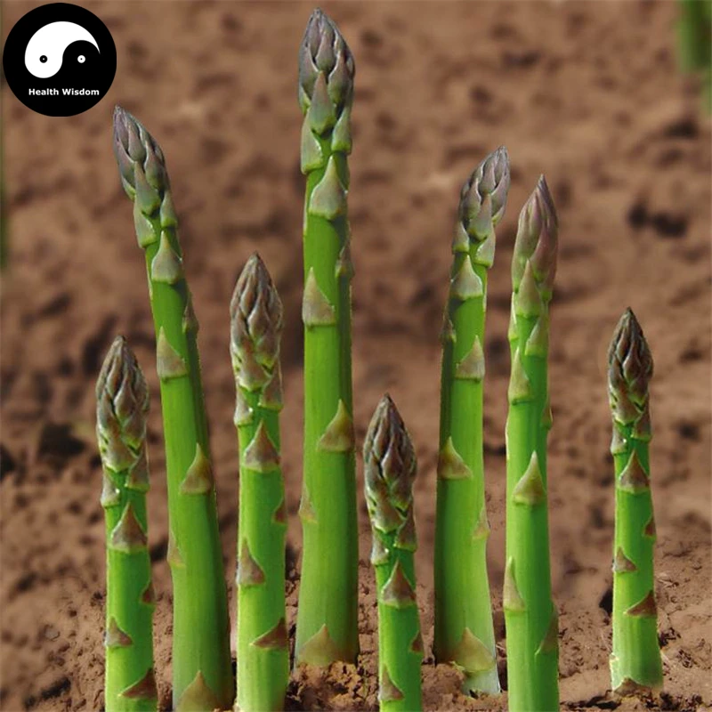 Buy Green Asparagus Vegetable Semente 120pcs Plant Buds