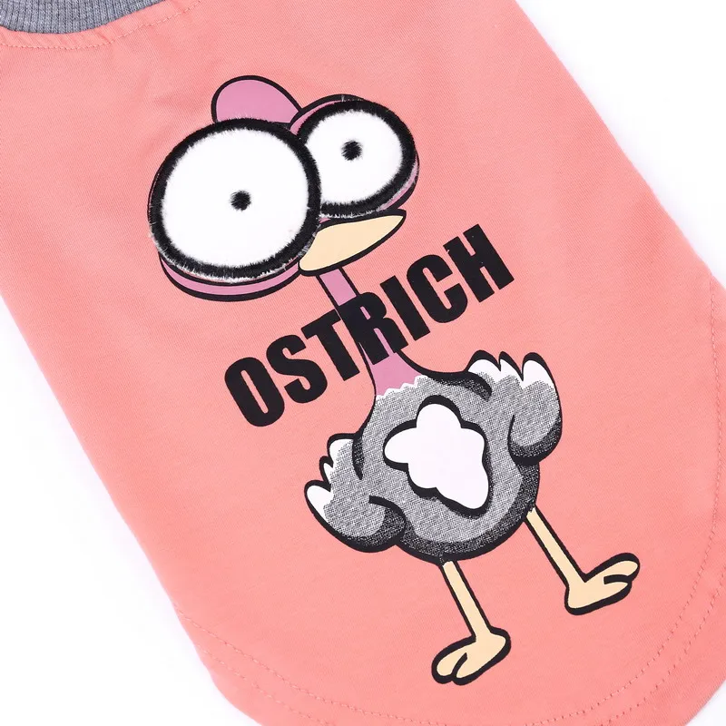 HTB1Mw2qPFXXXXbUXpXXq6xXFXXXo