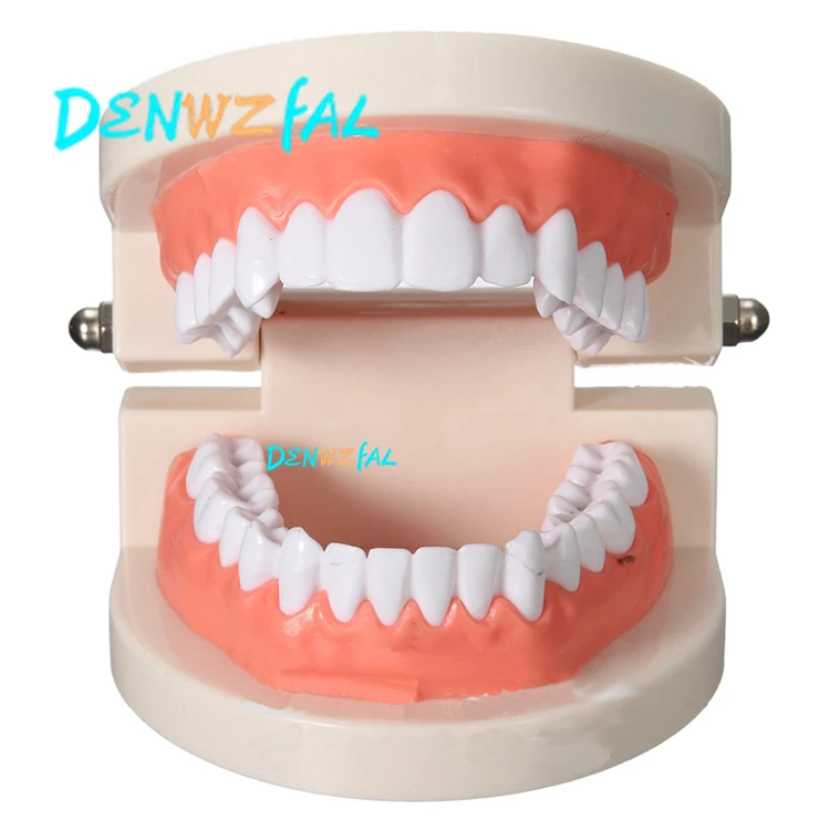 Новая Ортодонтическая модель для стоматологической 1/2 стандартная стоматология с полуметаллический кронштейны половина керамический кронштейн модель зубов