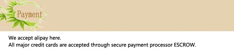 2 payment new