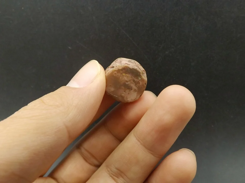 Tiny-A046Nest (5)
