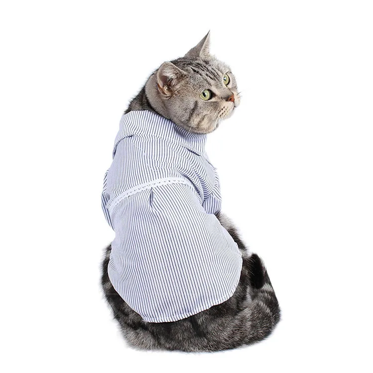 pet clothes (21)