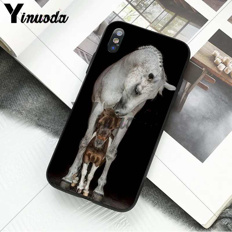andalusian horse
