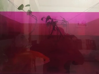 TB2UU0sgRDH8KJjy1zeXXXjepXa_!!0-rate.jpg_400x400