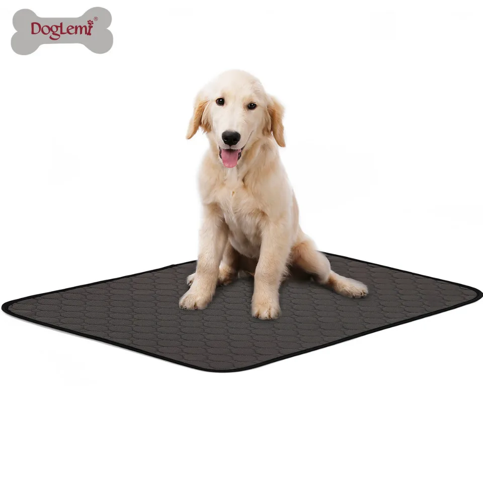 washable dog pee pads