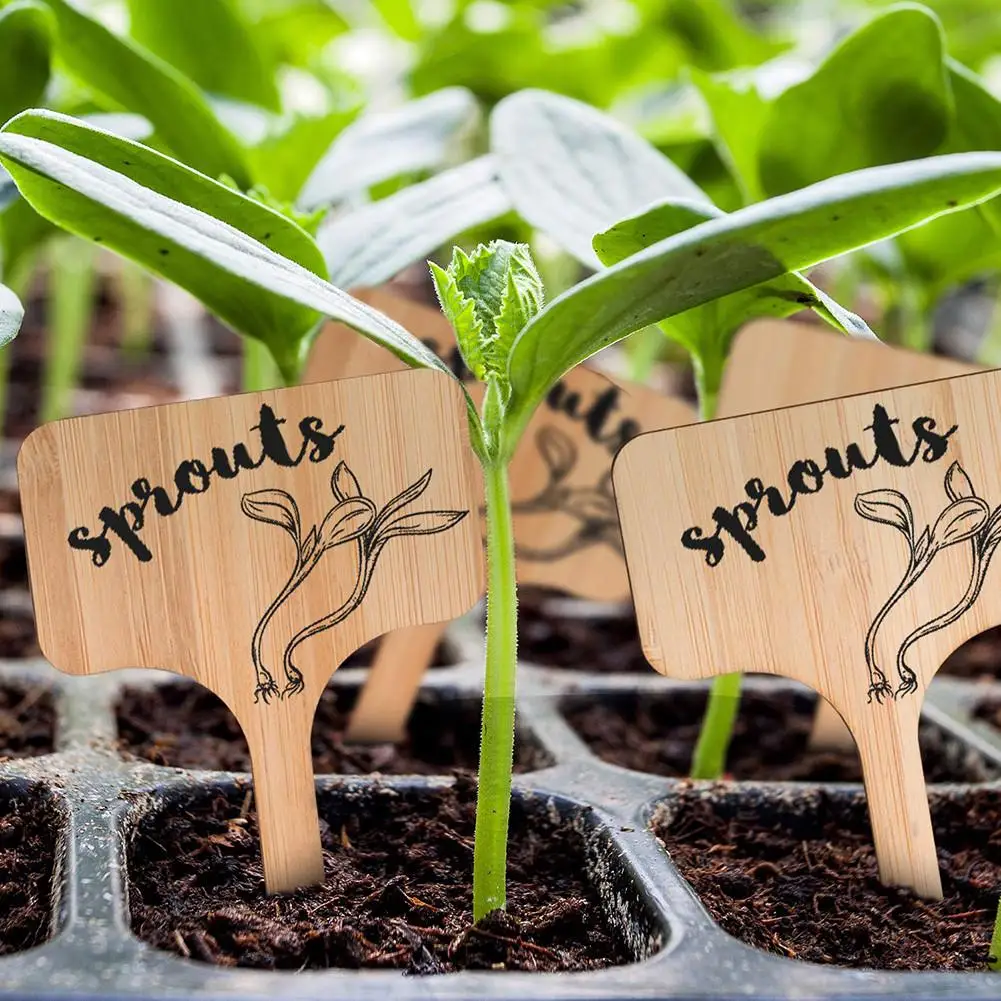 50PCS Plant Labels Flower Card Succulent Label Cards Landscape Signboard Nameplate Carved Bamboo Sign Tags
