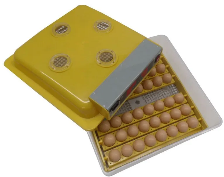 Mini 48 Eggs Automatic Turning Chicken Duck Hatchery Quail Incubadora Parrot Egg Incubator Poultry Hatching Machines Mini 48 Eggs Automatic Turning Chicken Duck Hatchery Quail Incubadora Parrot Egg Incubator Poultry Hatching Machines