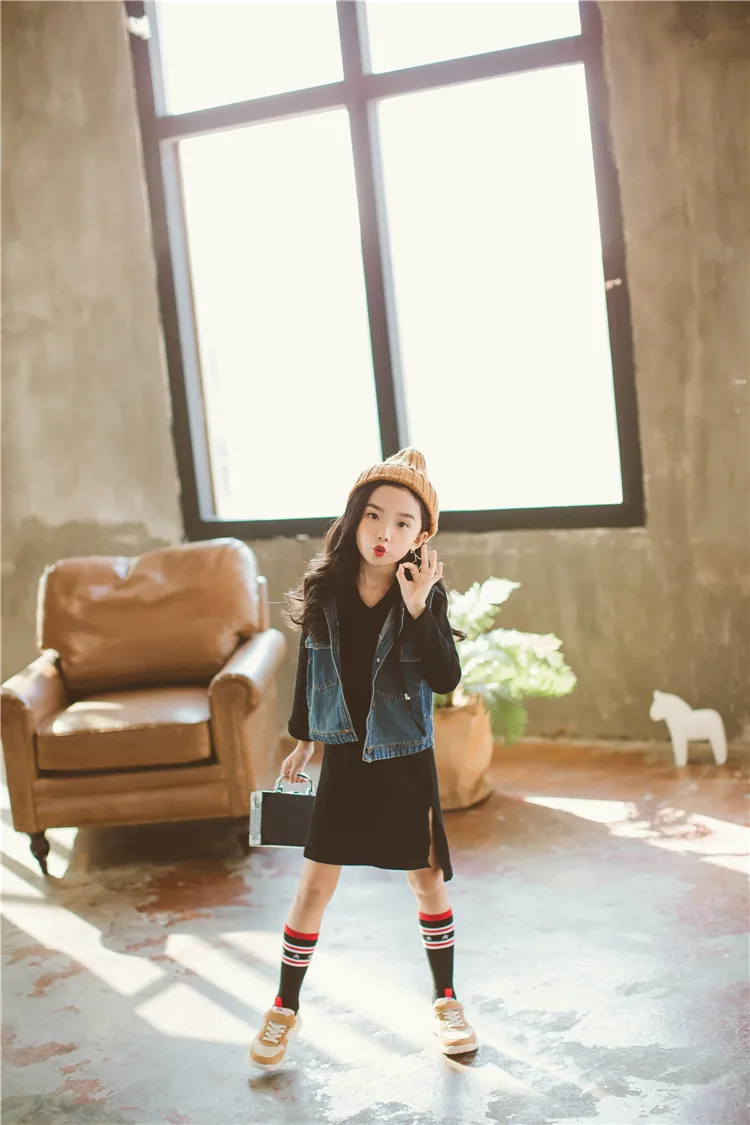 9703806.jpg
