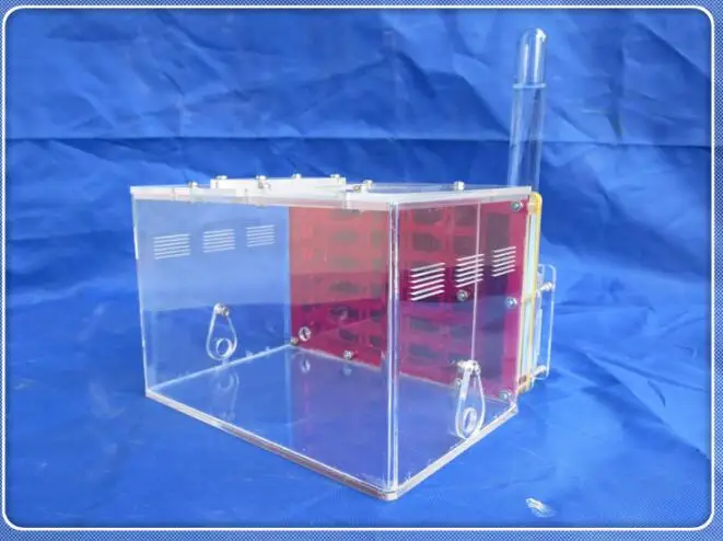 ant-workshop (13)