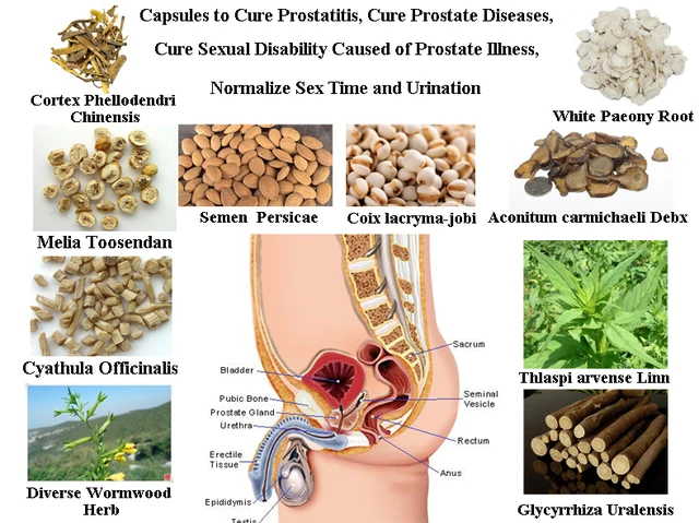 Formula Of Natural Herbal Ingredients To Cure Prostatitis -5236