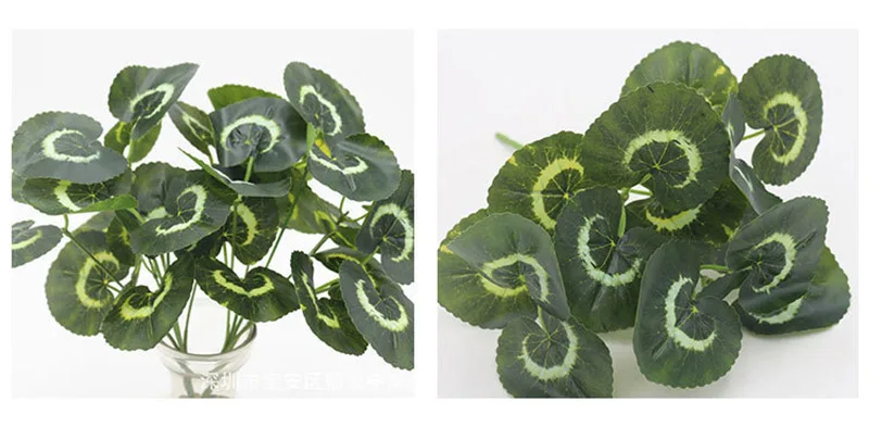 WS_VVL[@CQ9LXK56DOIQ8CS