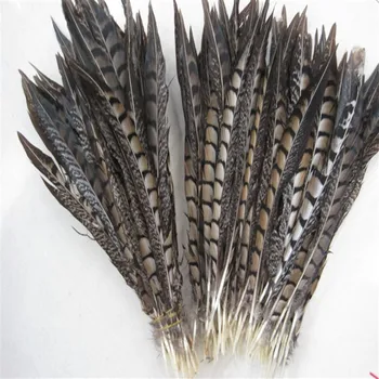 

Beautiful 500pcs Natural copper chicken tail 25-30cm/10-12inch wedding party decorations