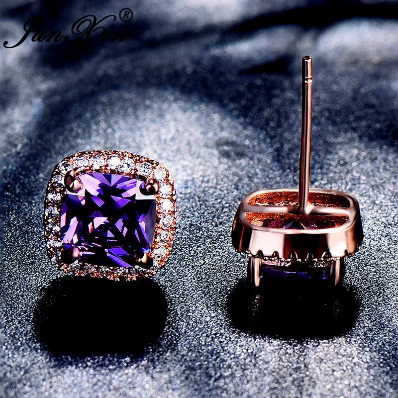 Ear0663-RG-PP (3)