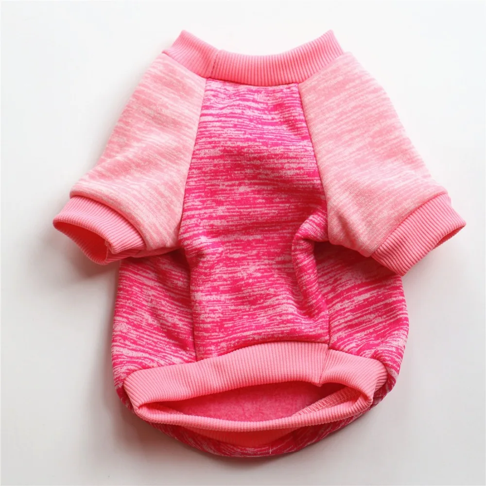 8598423658_361259826