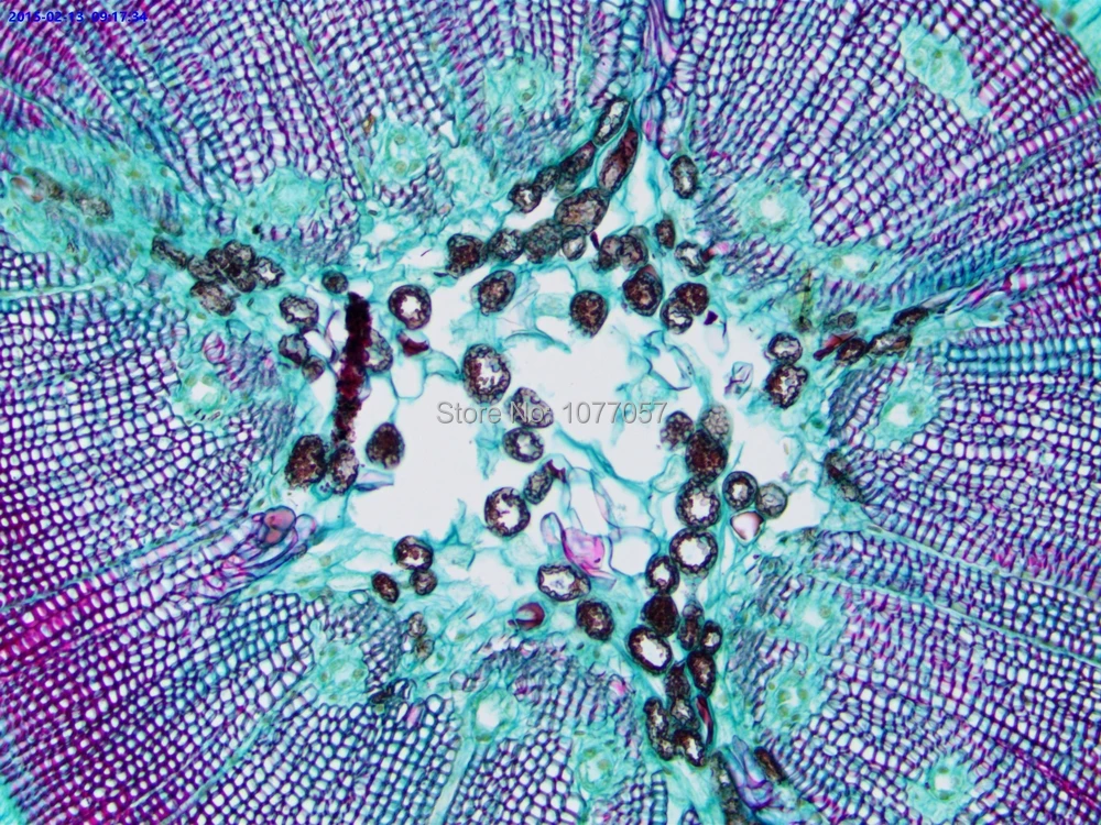 Best sale ,CE ISO,10x 10X Clinical Lab Darkfield microscope, Top ... Best sale ,CE ISO,10x 10X Clinical Lab Darkfield microscope, Top ...