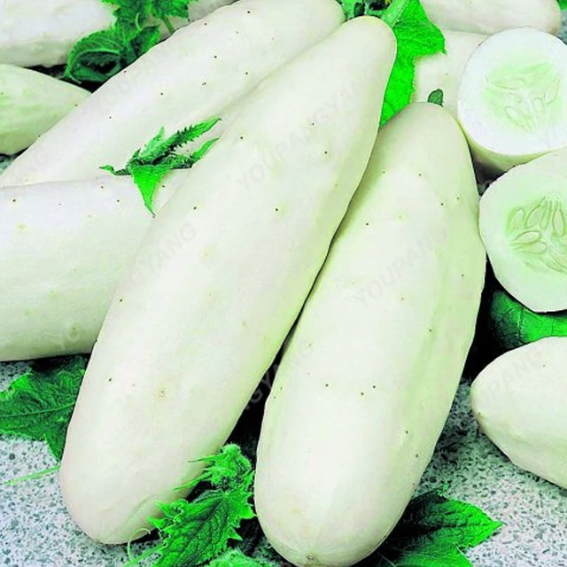 200 Pcs Black Cucumber Japanese Long Seeds Vegetable Home Vegetables