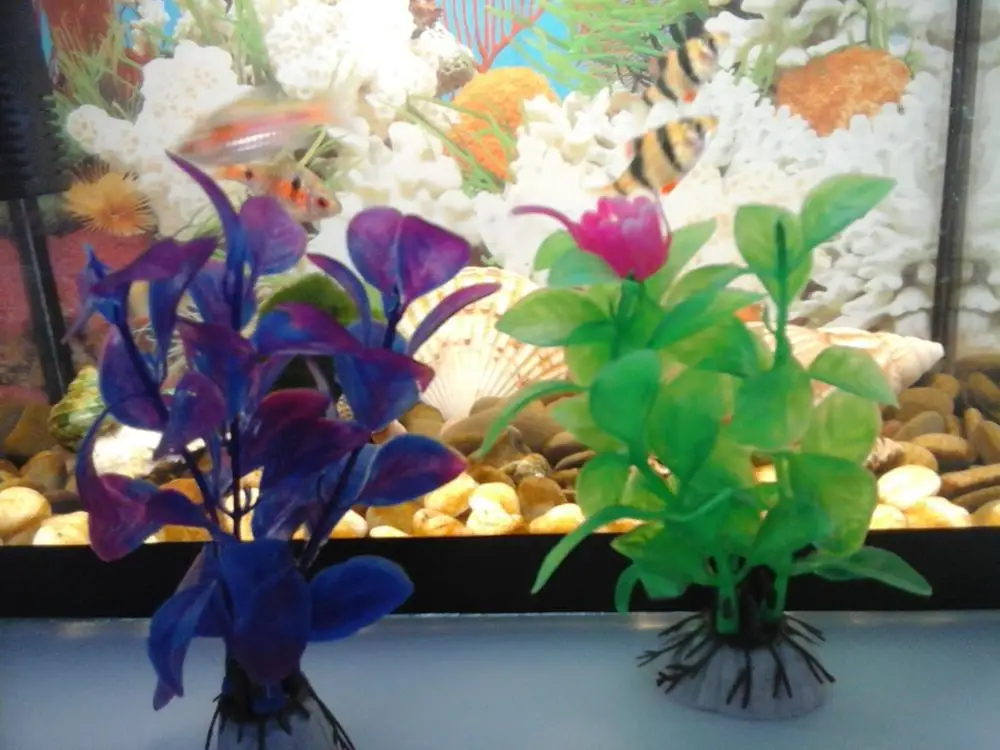 UT8Q33fX9NXXXagOFbXo