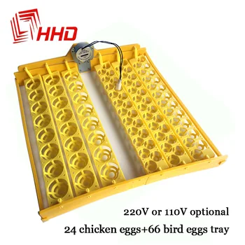 

Automatic Plastic Incubator Trays with Motor for 24 Chicken and 66 Bird Quail Parrot Eggs 110V 220V support YZ8-48 YZ-56 YZ-96