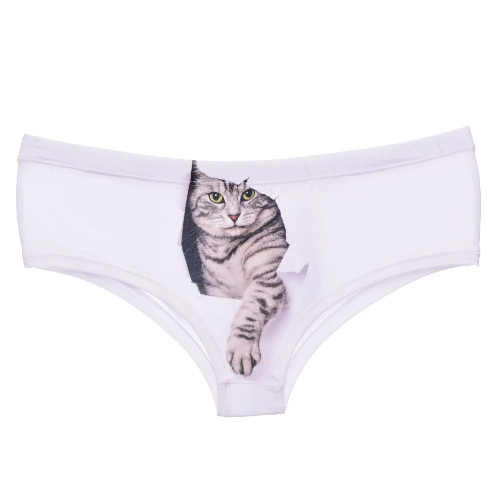 39431 cat hole (3)