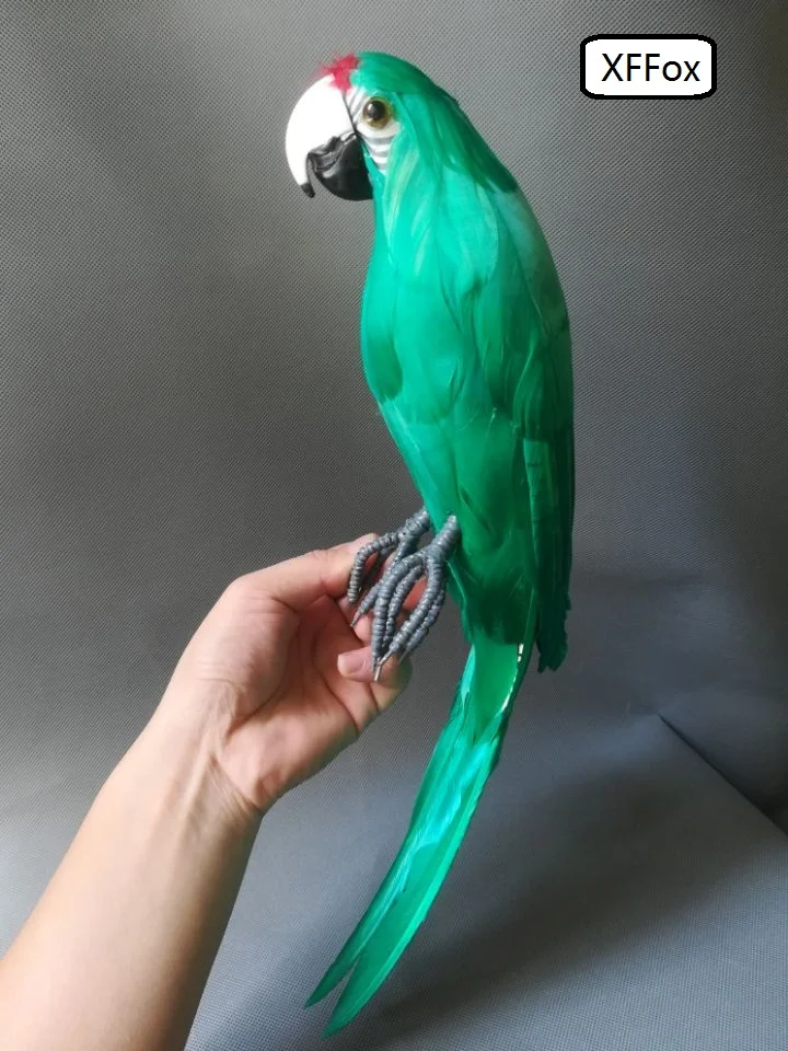 

new real life green parrot model foam&feather simulation parrot bird gift about 43cm xf0198