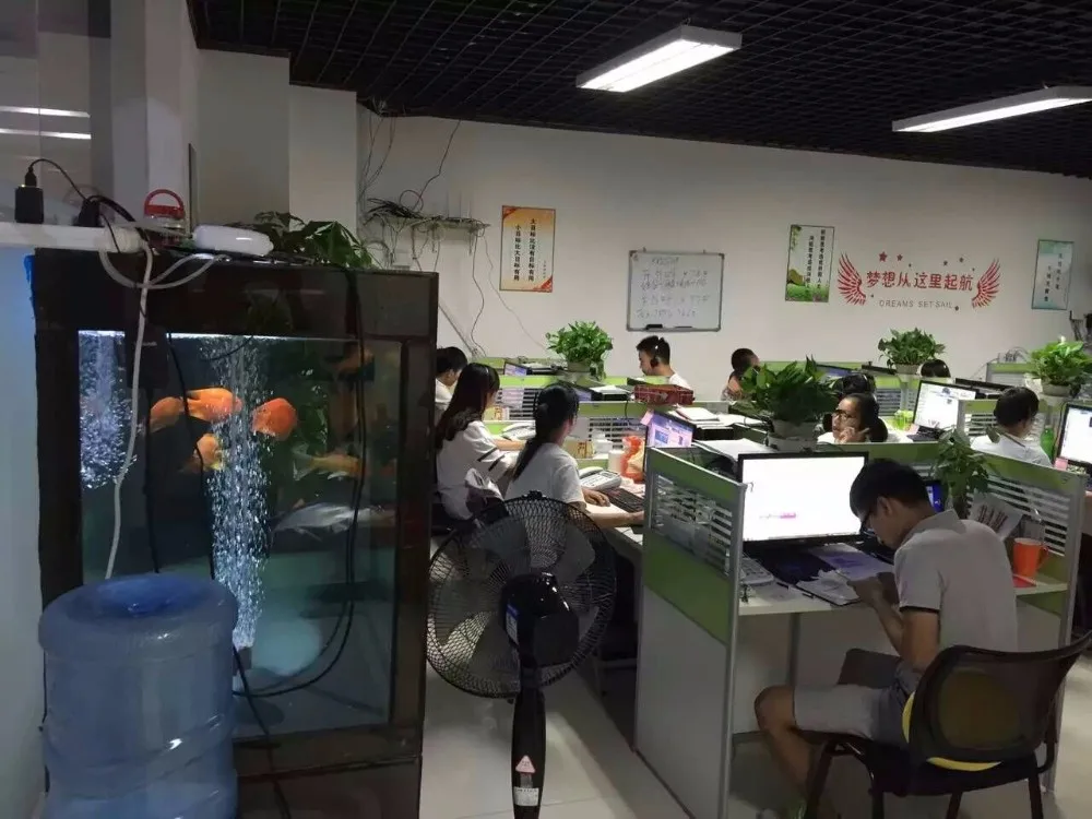 Candy Cherries Sissy Panties Sexy Mens Underwear Transparent Gay Thong Red Pouch High Waist G-String Erotic Briefs Jockstrap briefs underwear