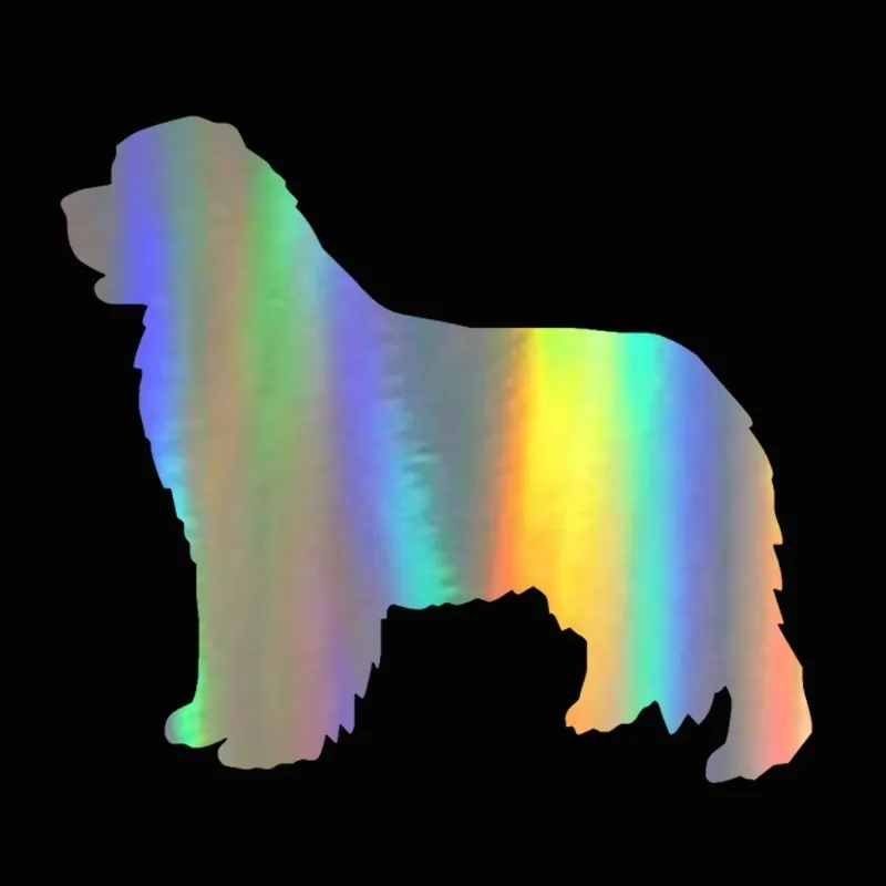 

Car Sticker Vinyl 22.9*20.3cm Newfoundland Dog Window Glass Decorative Stickers Lovely Wall Motorcycle Decals Black/Silver/Laser