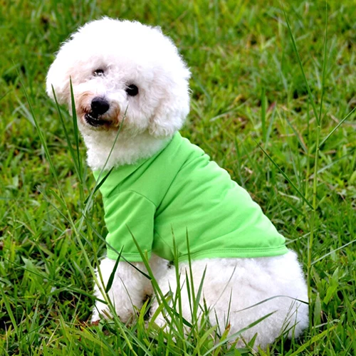 Милая Футболка Поло для щенков, одноцветная футболка для кошек, собак, Одежда для питомцев, костюм, одежда для собак, одежда для маленьких и средних собак