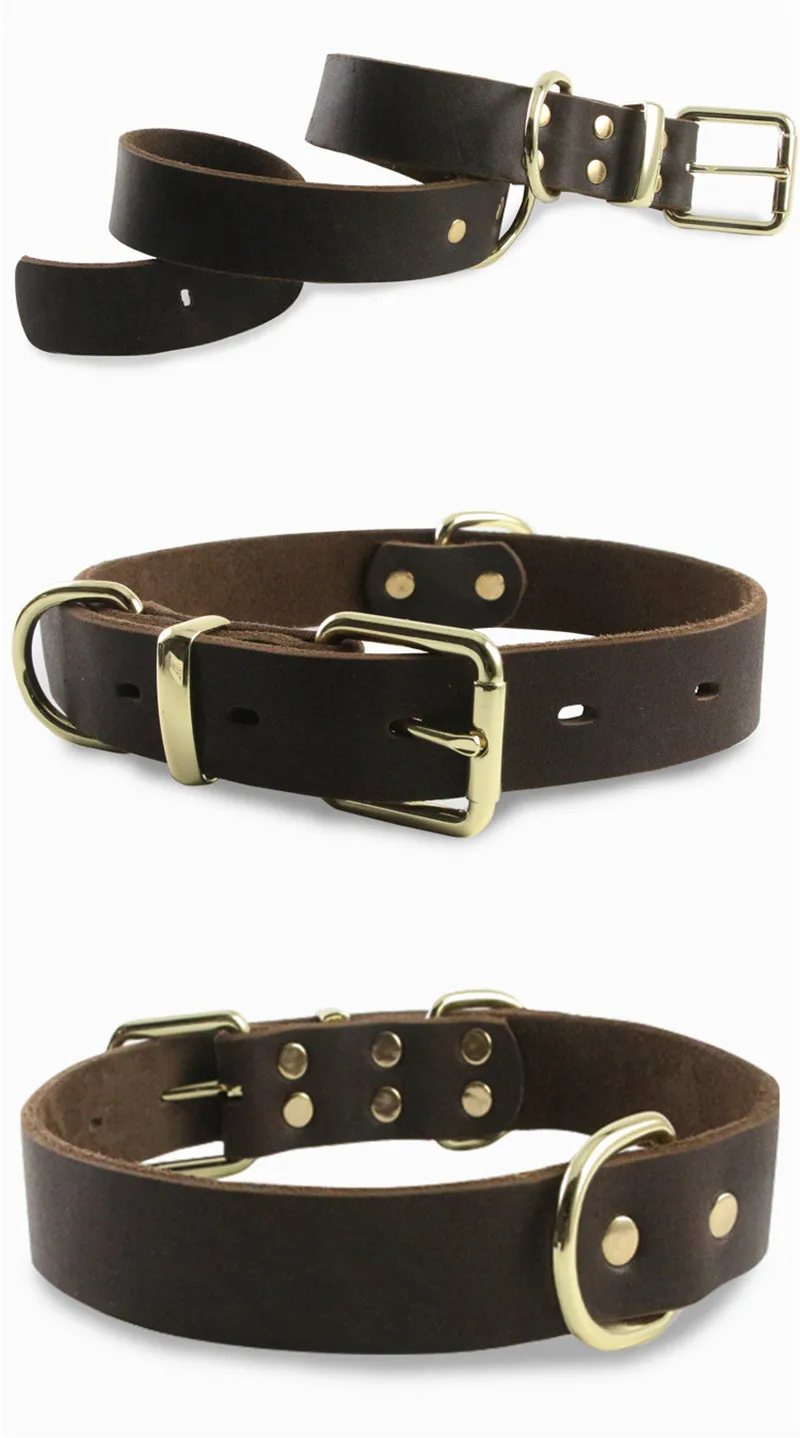 genuine leather dog collars (15)