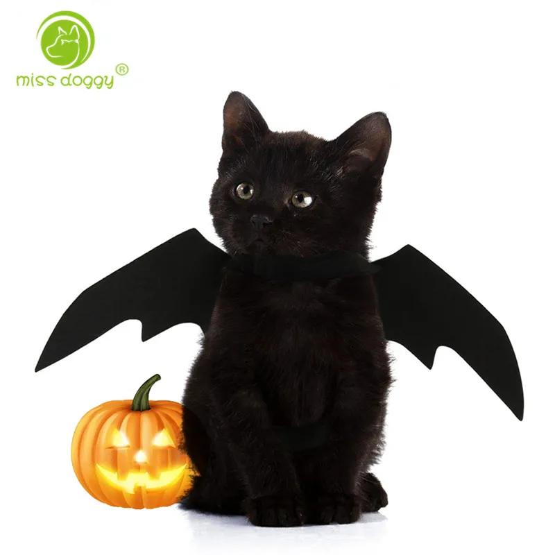 

Halloween Pet Costumes Dog Jacket Black Bat Wings Dog Winter Clothes Funny Party Dog Cat Clothes 20A