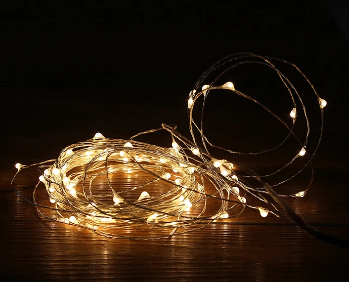 

10M 100 LEDS Outdoor Christmas Fairy Lights white/warm white Copper Wire LED Starry Lights DC 12V LED String Light Decoration