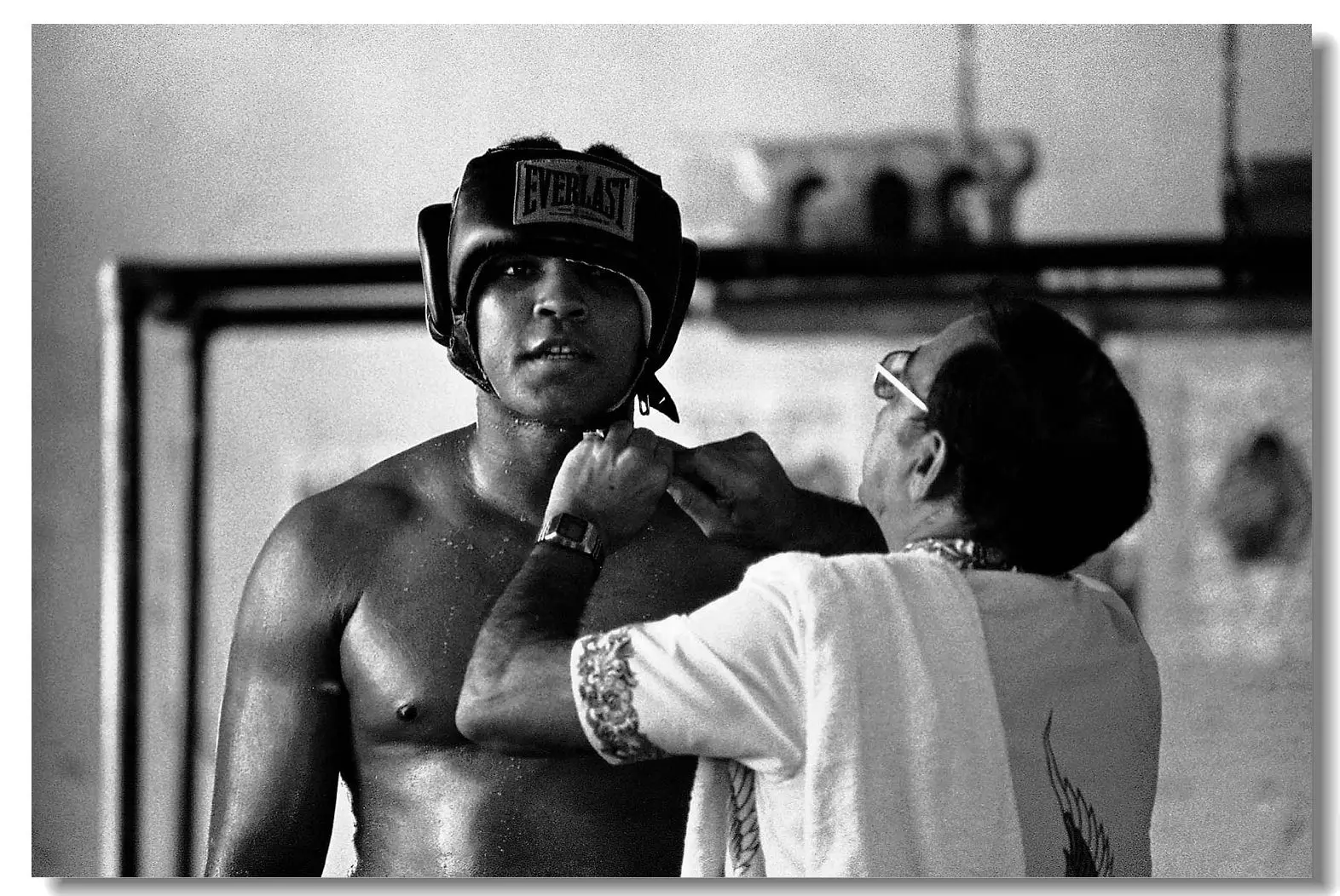 A Sparring Session Palcomix