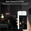 Video Surveillance