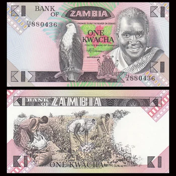 

Zambia 1 Kwacha, Random years, UNC, P-23, Uncirculated, Africa, Collection, Genuine Original Paper Notes