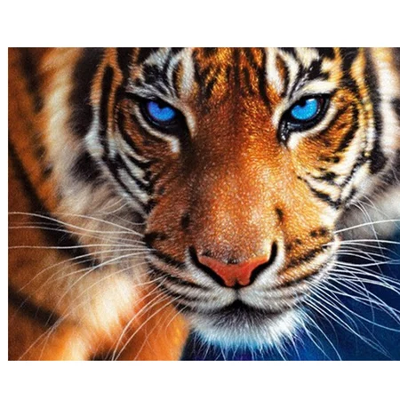 Needlework-diy-5d-diamond-painting-cross-stitch-tiger-rhinestone-pasted-painting-diamond-embroidery-home-decor-wall.jpg_640x640 (4)