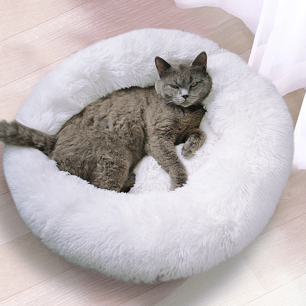 buy Round Plush Dog Cat Bed Pet House Mat Soft Puppy Cat Cushion Mat Small Dog Beds For Dogs Cats Winter Warm Sleeping Bed
